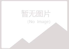 鹤壁山城沙砾建筑有限公司